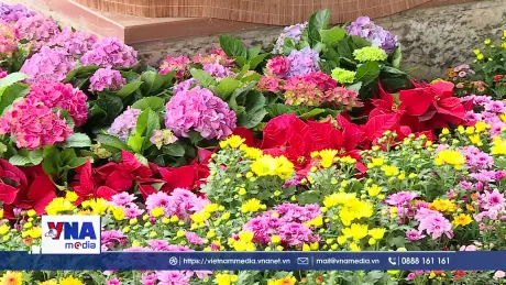 Rực rỡ sắc hoa Hội chợ xuân