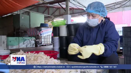 Liên kết sản xuất - Hướng đi bền vững cho nông nghiệp hiện đại