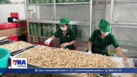 Đặc sản dừa sáp Vĩnh Long “cháy hàng”, sản lượng tăng mạnh dịp Tết