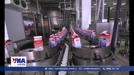 Trung Quốc giảm thuế đối với các sản phẩm sữa của EU