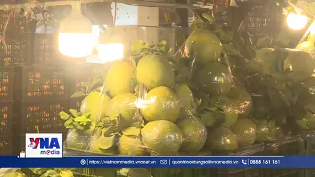 Trạm tin sáng ngày 12/02: Hàng Tết nhộn nhịp “đổ bộ” chợ đầu mối TP. HCM