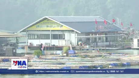 Siết chặt quản lý các cơ sở kinh doanh trên lòng hồ Hòa Bình