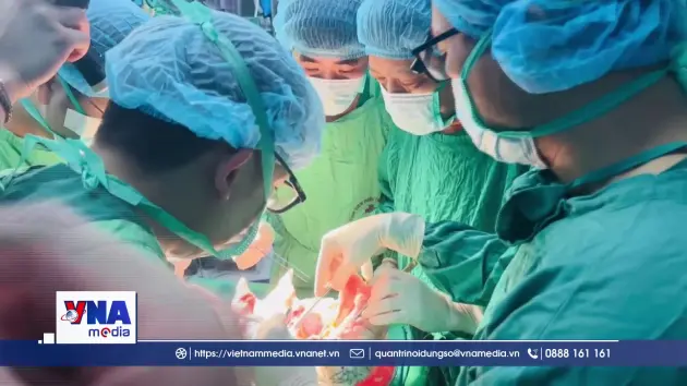 6 tuần – 5 lá phổi mới: Kỳ tích hồi sinh sự sống