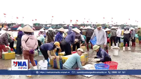 Nhịp biển Ninh Bình rộn ràng ngày giáp Tết