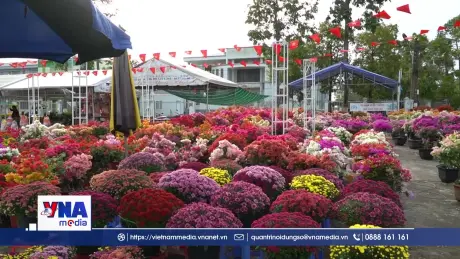 Chợ hoa Tết Rạch Giá chờ khách cận Tết