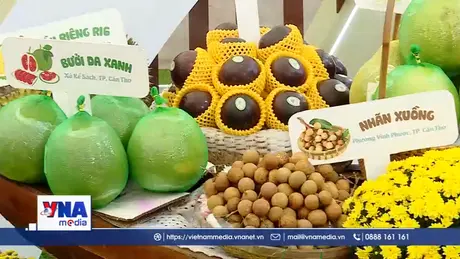 “ Cầu dừa đủ xài” - Mâm Ngũ Quả miền Tây Đón Tết