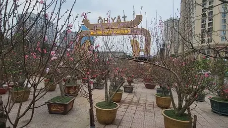 Chợ hoa Tết Tây Hồ: Phố phường thông thoáng, công tác đảm bảo an ninh trật tự được đảm bảo