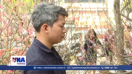 Ngắm hoa Tết - Gửi gắm ước vọng đầu xuân