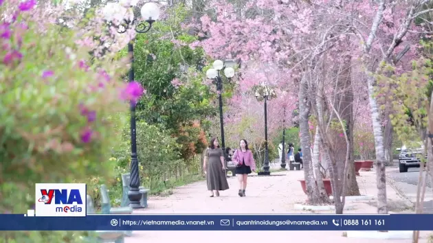 Giảng đường đại học trở thành điểm đến lý thú ở Đà Lạt