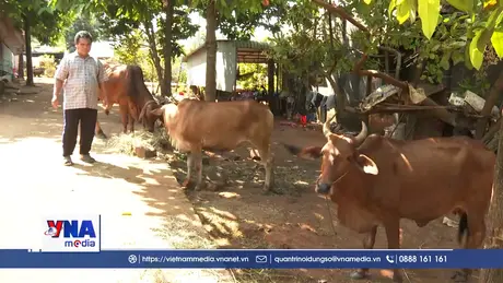 Sắc Xuân trên vùng đất đồngbào thiểu số nghèo Tiểu khu 119