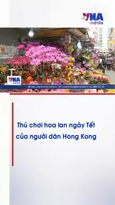 Thú chơi hoa lan ngày Tết của người dân Hong Kong