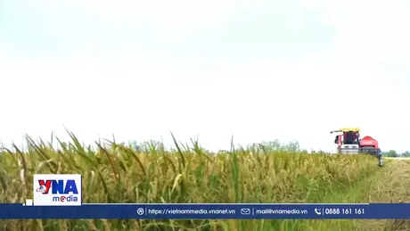 Khát vọng của nông dân Cần Thơ