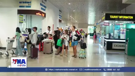 Bộ Y tế ban hành hướng dẫn khẩn phòng chống vi rút Nipah