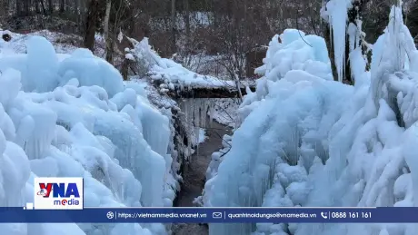 Takayama – nét đẹp cổ kính giữa núi rừng Nhật Bản