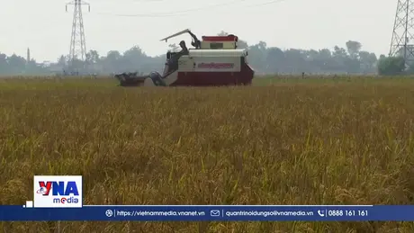 Indonesia triển khai gói hỗ trợ gạo cho hơn 35 triệu hộ gia đình