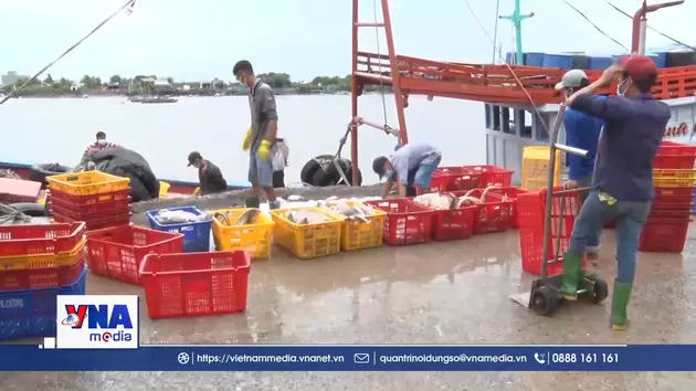 Vùng đất địa đầu cực Nam của Tổ quốc vững tin bước vào năm mới