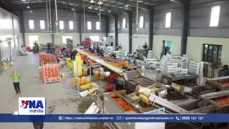 Xuất khẩu nông sản lạc quan những ngày đầu năm