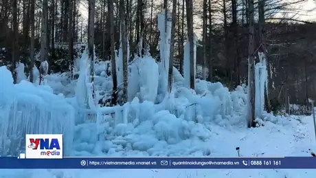 Subzero Forest - Khu rừng băng giá kỳ ảo tại Nhật Bản