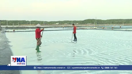 Thiềng Liềng – “Khoảng lặng xanh” giữa lòng siêu đô thị