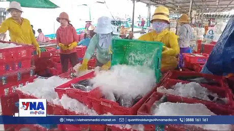 Đà Nẵng thông qua chính sách hỗ trợ