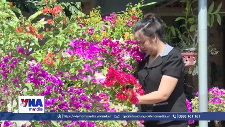 Những người phụ nữ không khuất phục số phận