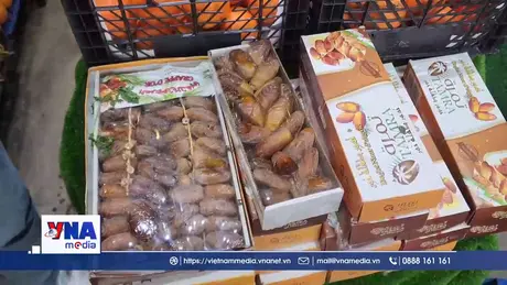 Lợi ích cho sức khỏe của chà là Algeria