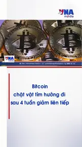 Bitcoin chật vật tìm hướng đi sau 4 tuần giảm liên tiếp