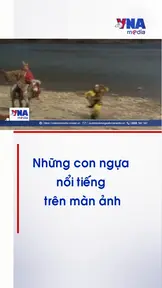 Những con ngựa nổi tiếng trên màn ảnh