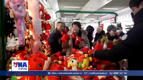 Ngựa khóc gây “sốt” tại Trung Quốc