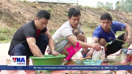 Xuân no ấm trên khu tái định cư