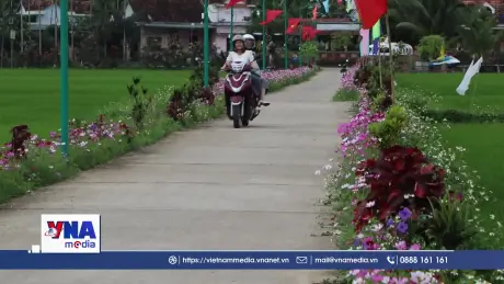 Sức sống mới trên quê hương Cố Thủ tướng Phạm Văn Đồng