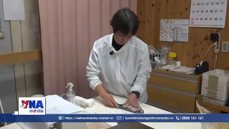  Nỗ lực bảo tồn di sản ẩm thực Nhật Bản