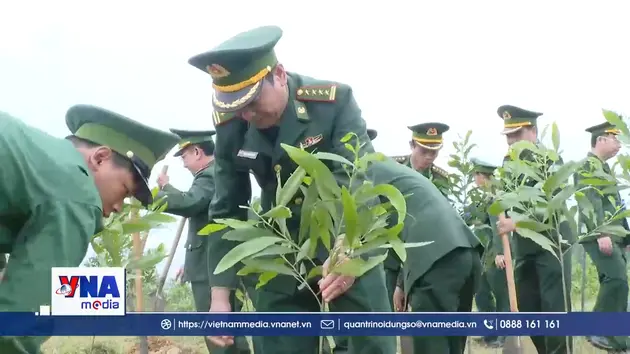 Biên phòng Quảng Trị hưởng ứng Tết trồng cây