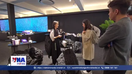 Mô hình nhà nước kiến tạo và động lực tư nhân tại Hàn Quốc