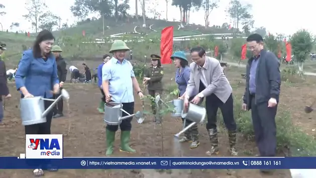 Tuyên Quang phát động Tết trồng cây và phong trào thi đua