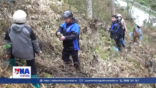 Cao Bằng tổ chức Tết trồng cây “Đời đời nhớ ơn Bác Hồ”