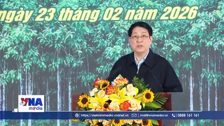 Chủ tịch nước dự Lễ phát động Tết trồng cây tại Lào Cai