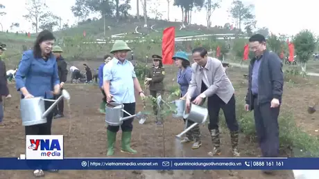 Tuyên Quang phát động Tết trồng cây và phong trào thi đua