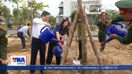 Phường Tam Kỳ, Tp.Đà Nẵng hưởng ứng Tết trồng cây