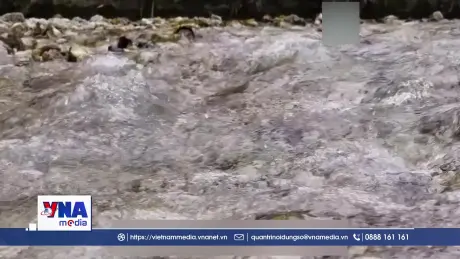 Ô nhiễm các chất vĩnh cửu có thể khiến EU thiệt hại tới 1.700 tỷ euro