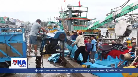 Lâm Đồng: Ngư dân tất bật ra khơi khai thác hải sản sau Tết