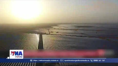 Mỹ áp thuế lên tới 126% đối với pin Mặt Trời của Ấn Độ