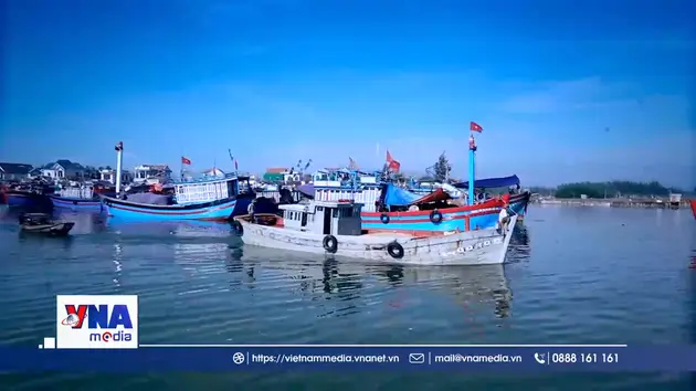 Ngư dân Đà Nẵng tấp nập ra khơi trong chuyến biển đầu năm