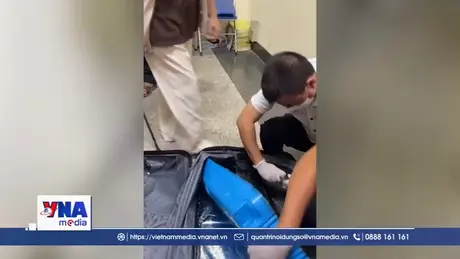 Triệt phá đường dây vận chuyển Cocain xuyên quốc gia tại Tân Sơn Nhất