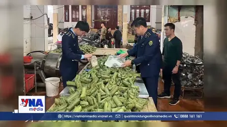 Khởi tố chủ cơ sở sản xuất giò chả sử dụng hàn the