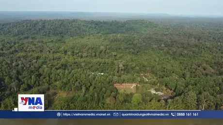 Bộ Nông nghiệp và Môi trường là cơ quan duy nhất cấp tín chỉ carbon