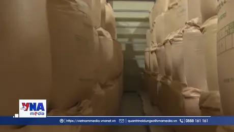 Hàn Quốc xuất gạo dự trữ nhằm kiềm chế giá