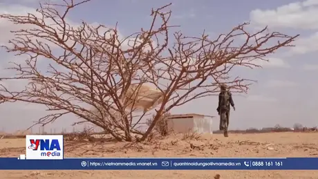 Dự báo năm 2026 nóng kỷ lục