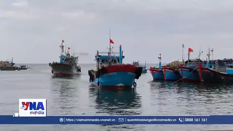 Ngư dân Khánh Hòa rộn ràng khai thác hải sản sau Tết