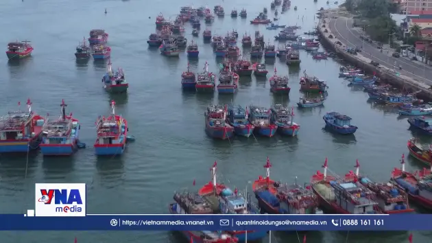 Quảng Trị: Ngư dân hứng khởi vươn khơi đầu năm